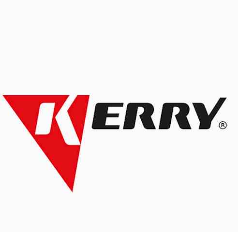 KERRY Очиститель-кондиц-р кожи аэроз (650мл) KR-981
